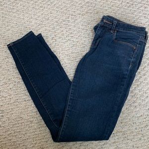 Articles of Society Skinny Jeans